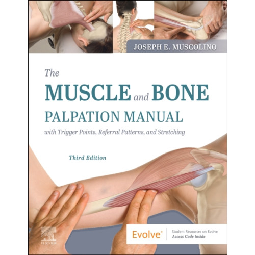 Elsevier - Health Sciences Division The Muscle and Bone Palpation Manual with Trigger Points, Referral Patterns and Stretching (häftad, eng)
