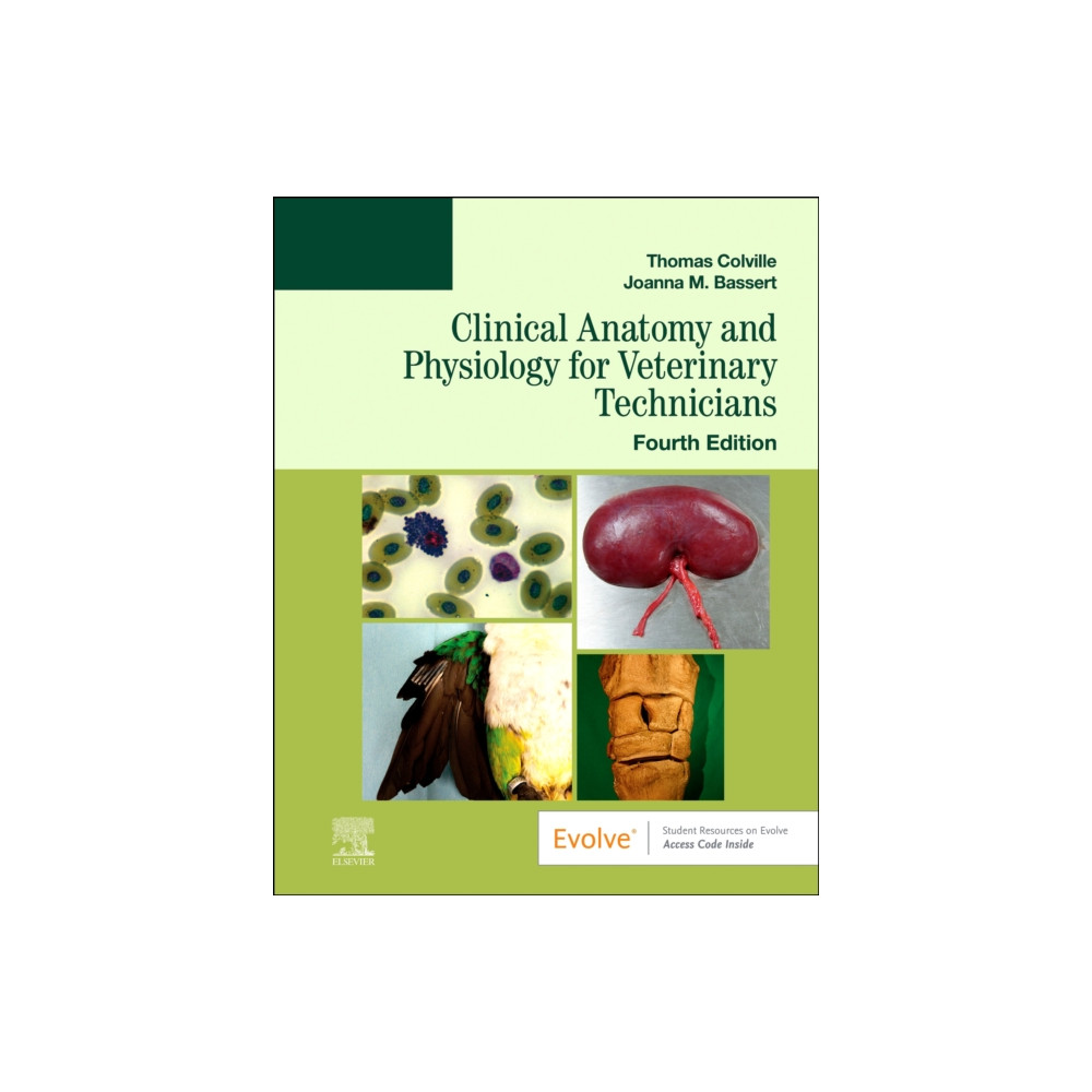 Produktbild för Clinical Anatomy and Physiology for Veterinary Technicians (häftad, eng)