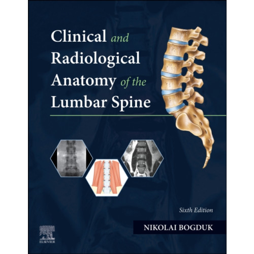 Elsevier - Health Sciences Division Clinical and Radiological Anatomy of the Lumbar Spine (häftad, eng)