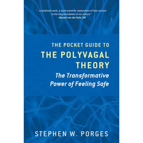 WW Norton & Co The Pocket Guide to the Polyvagal Theory (häftad, eng)