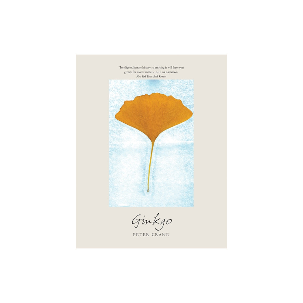 Produktbild för Ginkgo (häftad, eng)