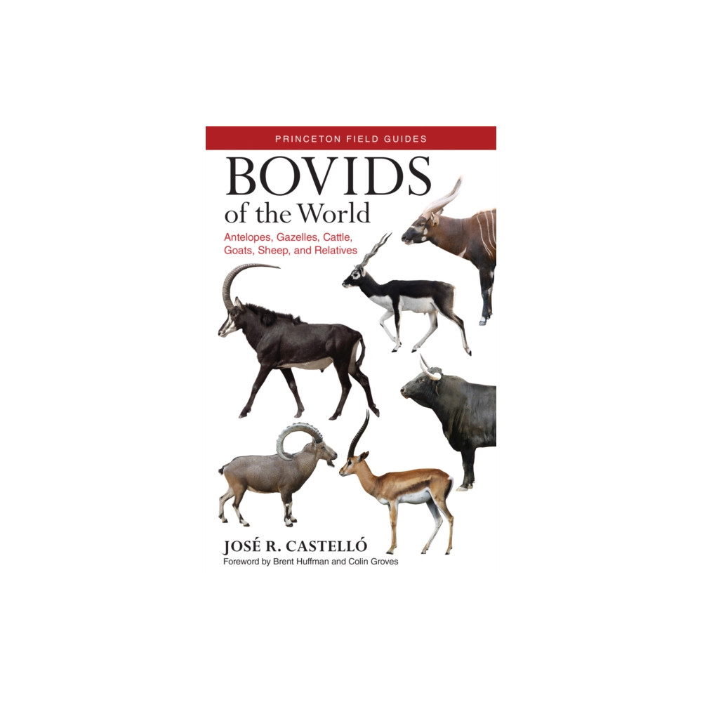 Produktbild för Bovids of the World (häftad, eng)