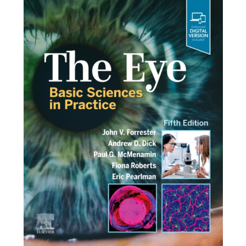 Elsevier Health Sciences The Eye (inbunden, eng)