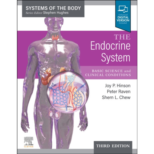 Elsevier Health Sciences The Endocrine System (häftad, eng)