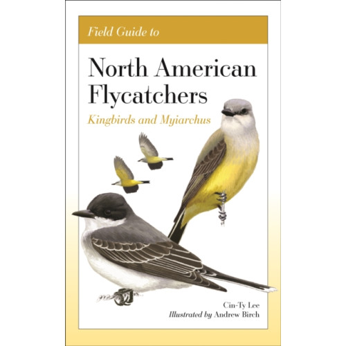 Princeton University Press Field Guide to North American Flycatchers (häftad, eng)