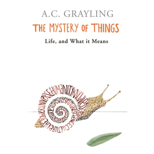 Orion Publishing Co The Mystery of Things (häftad, eng)