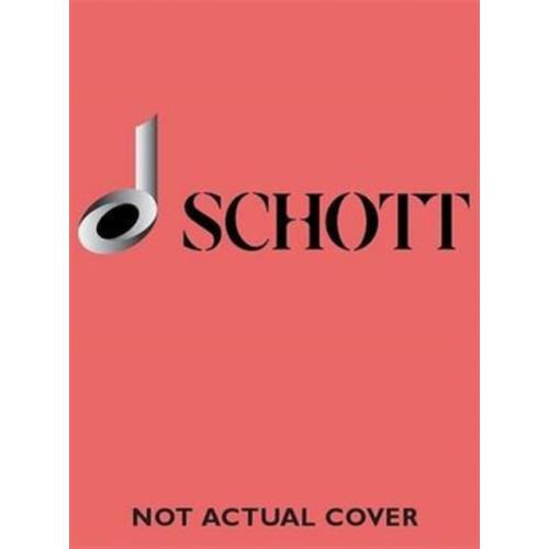 Schott Music Ltd The Modern Recorder Player (häftad, eng)