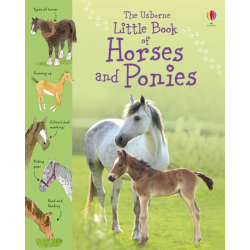 Usborne Publishing Ltd Little Book of Horses and Ponies (inbunden, eng)