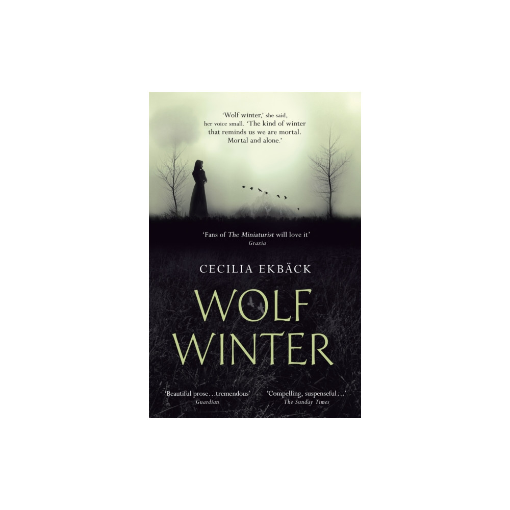 Produktbild för Wolf Winter (häftad, eng)