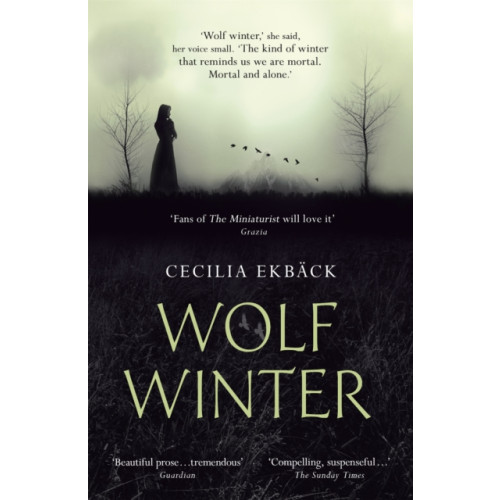 Hodder & Stoughton Wolf Winter (häftad, eng)