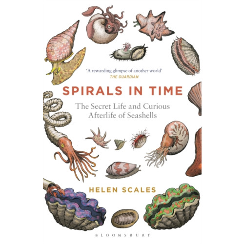 Bloomsbury Publishing PLC Spirals in Time (häftad, eng)
