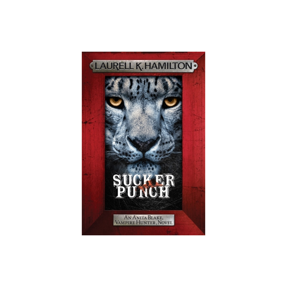 Produktbild för Sucker Punch (häftad, eng)
