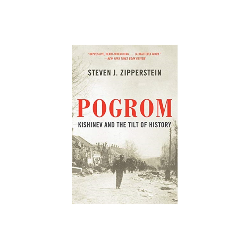 Produktbild för Pogrom (häftad, eng)