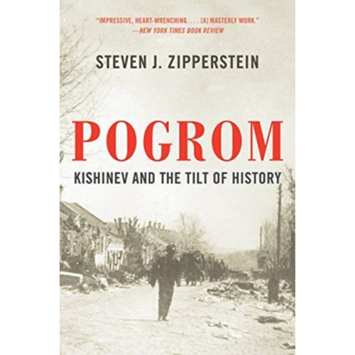 W W Norton & Co Ltd Pogrom (häftad, eng)
