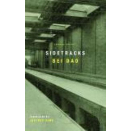 Carcanet Press Ltd Sidetracks (häftad, eng)