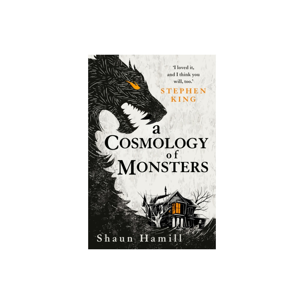 Produktbild för A Cosmology of Monsters (häftad, eng)