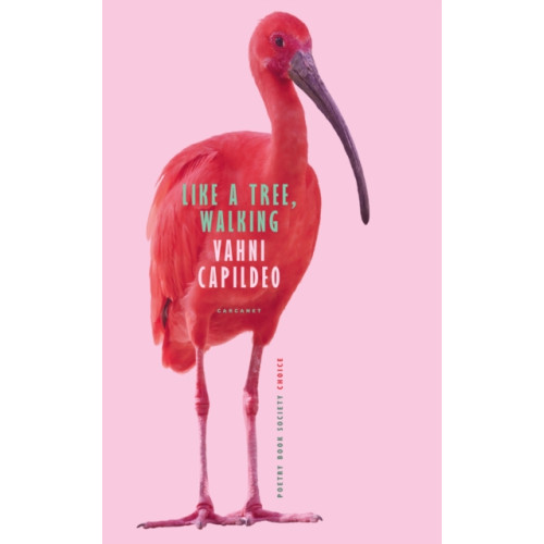 Carcanet Press Ltd Like a Tree, Walking (häftad, eng)