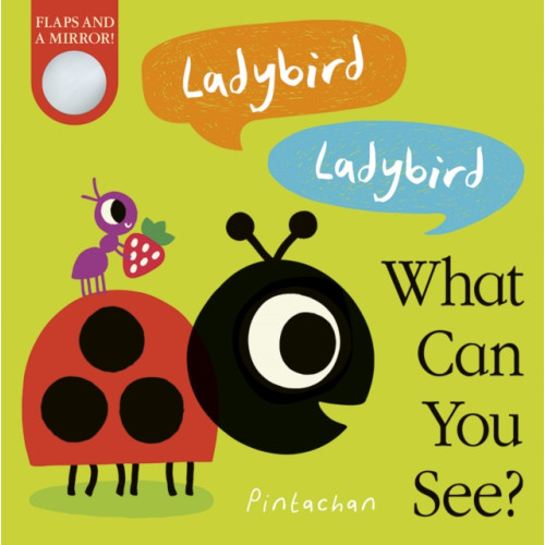 Little Tiger Press Group Ladybird! Ladybird! What Can You See? (bok, board book, eng)