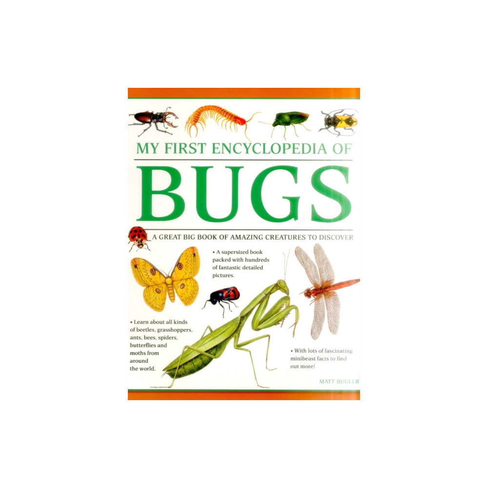 Produktbild för My First Encyclopedia of Bugs (giant Size) (häftad, eng)