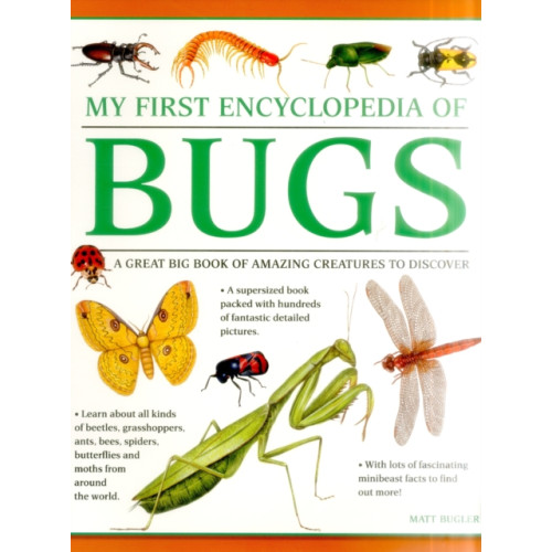 Anness publishing My First Encyclopedia of Bugs (giant Size) (häftad, eng)