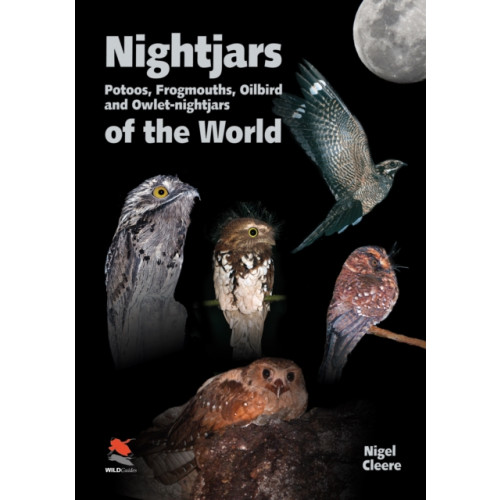 WILDGuides Nightjars, Potoos, Frogmouths, Oilbird, and Owlet–nightjars of the World (inbunden, eng)