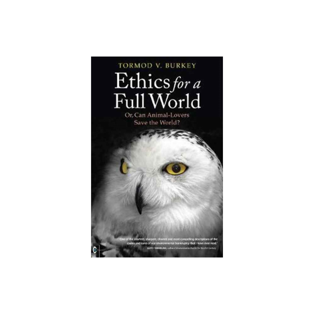 Produktbild för Ethics for a Full World (häftad, eng)