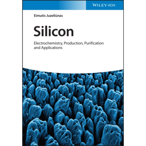 Wiley-VCH Verlag GmbH Silicon (inbunden, eng)