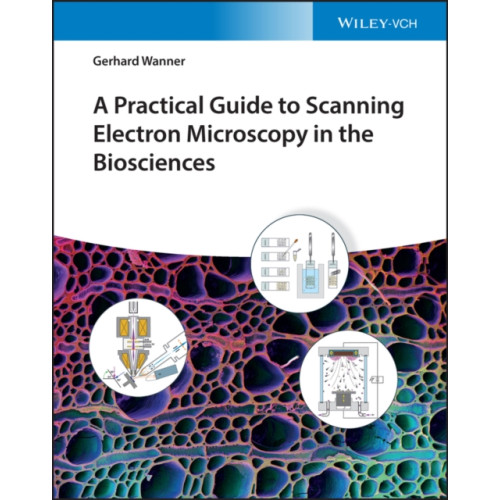 Wiley-VCH Verlag GmbH A Practical Guide to Scanning Electron Microscopy in the Biosciences (inbunden, eng)