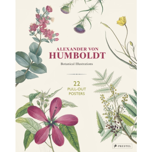 Prestel Alexander Von Humboldt: 22 Pull-Out Posters (häftad, eng)