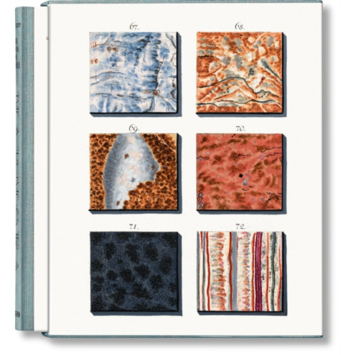 Taschen GmbH Jan Christiaan Sepp. The Book of Marble (inbunden, eng)