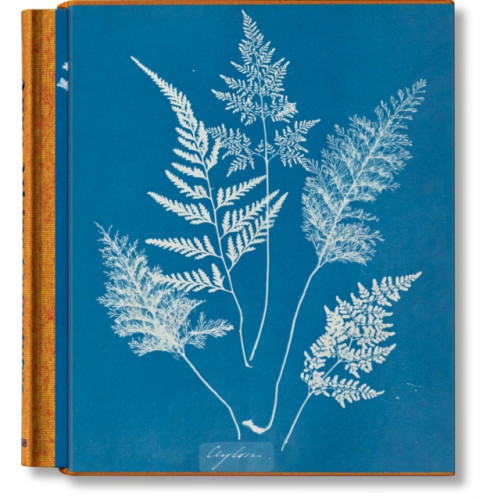 Taschen GmbH Anna Atkins. Cyanotypes (inbunden, eng)