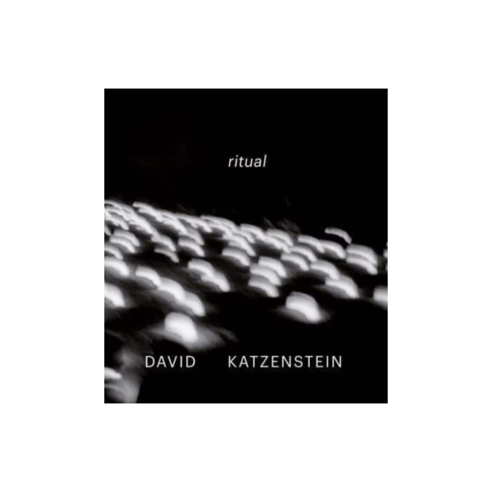 Produktbild för David Katzenstein (inbunden, eng)