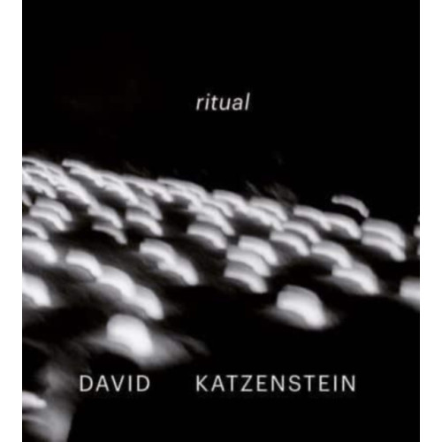Hirmer Verlag David Katzenstein (inbunden, eng)