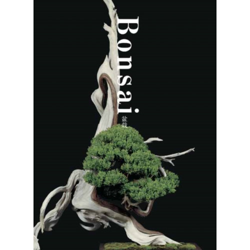 PIE Books Bonsai (häftad, eng)