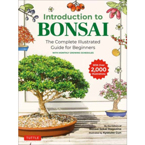 Tuttle Publishing Introduction to Bonsai (häftad, eng)