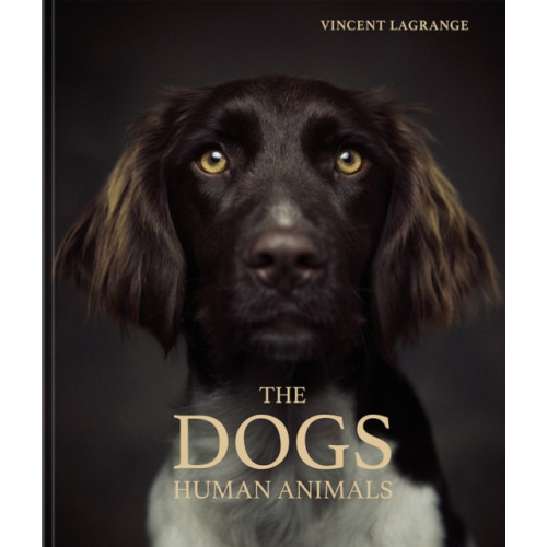 teNeues Publishing UK Ltd The Dogs (inbunden, eng)