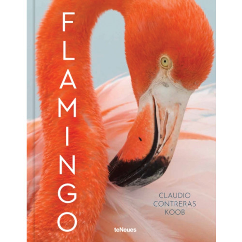 teNeues Publishing UK Ltd Flamingo (inbunden, eng)