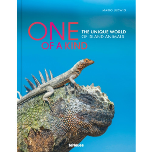 teNeues Publishing UK Ltd One of a Kind (inbunden, eng)