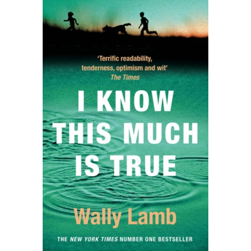 HarperCollins Publishers I Know This Much is True (häftad, eng)