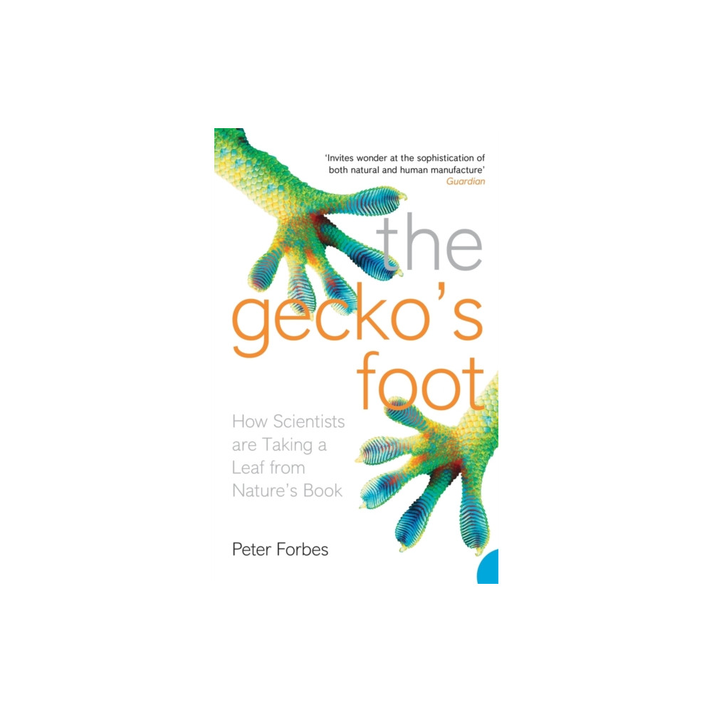 Produktbild för The Gecko’s Foot (häftad, eng)