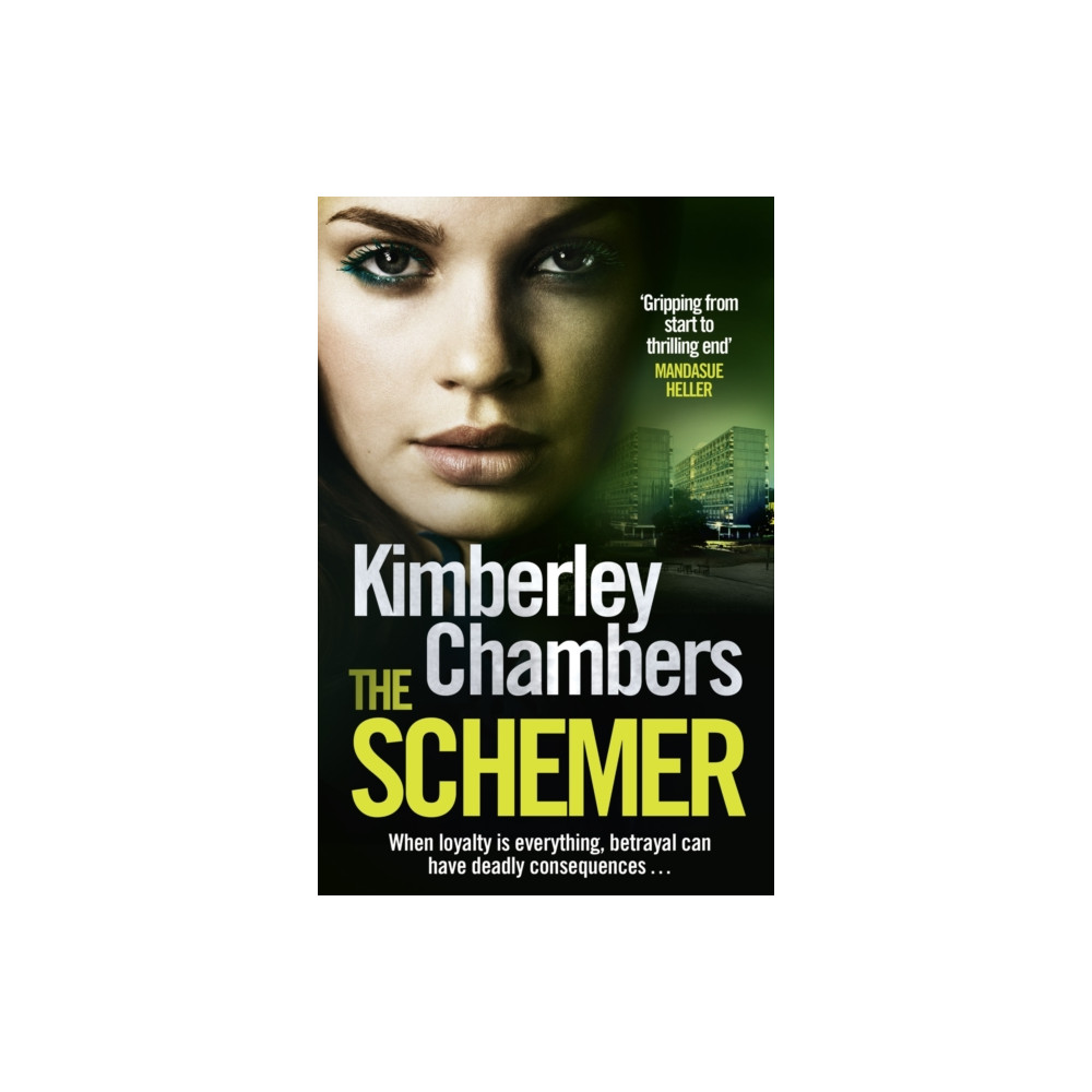 Produktbild för The Schemer (häftad, eng)