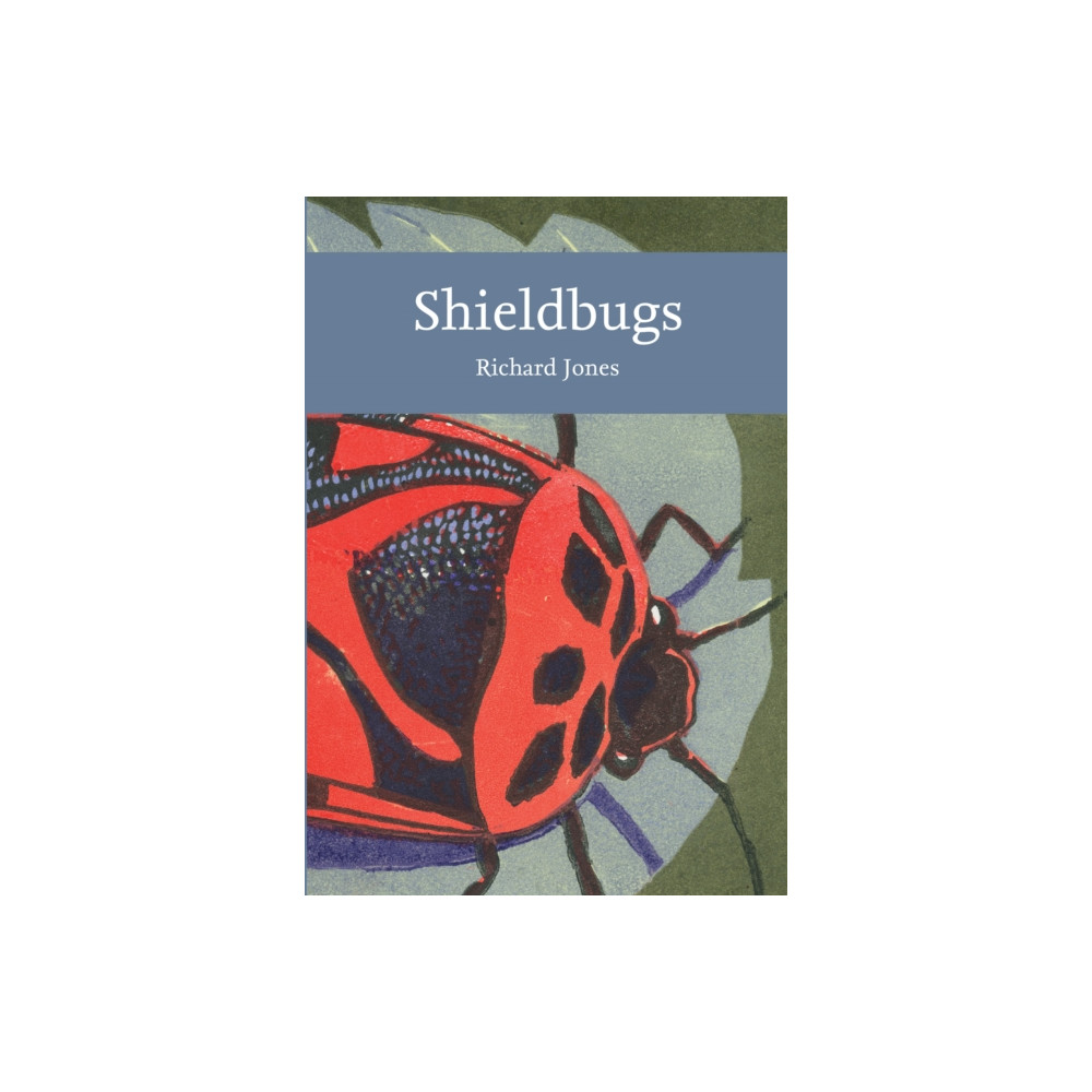 Produktbild för Shieldbugs (häftad, eng)
