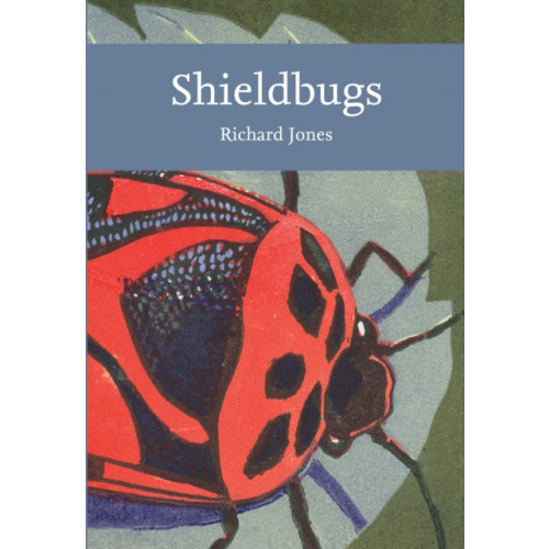 HarperCollins Publishers Shieldbugs (häftad, eng)