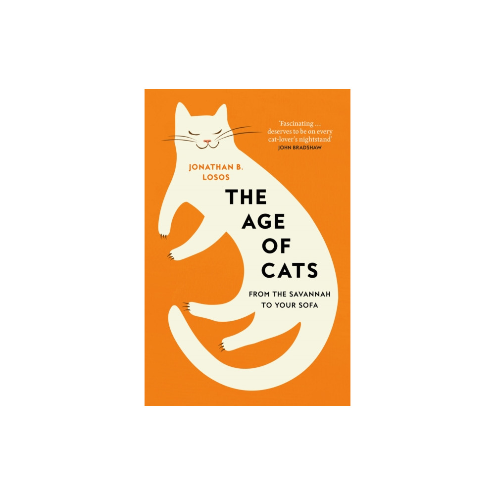 Produktbild för The Age of Cats (inbunden, eng)