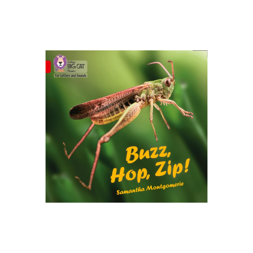 Produktbild för Buzz, Hop, Zip! (häftad, eng)