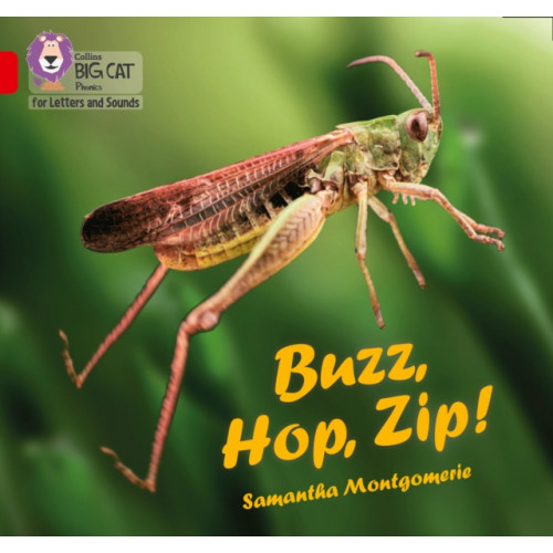 HarperCollins Publishers Buzz, Hop, Zip! (häftad, eng)