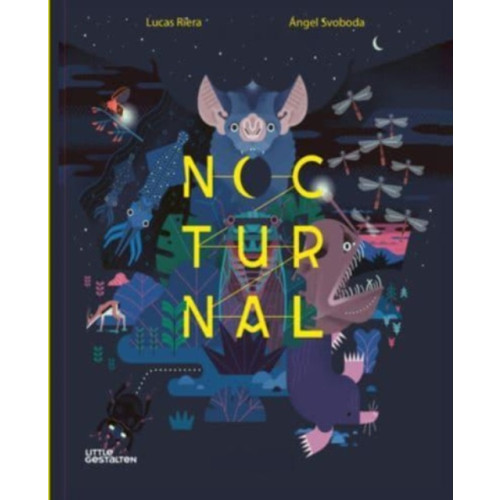 Die Gestalten Verlag Nocturnal (inbunden, eng)