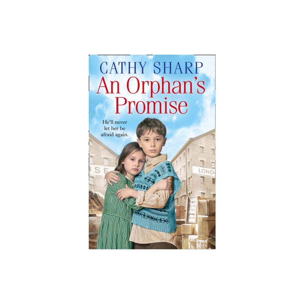 Produktbild för An Orphan’s Promise (häftad, eng)