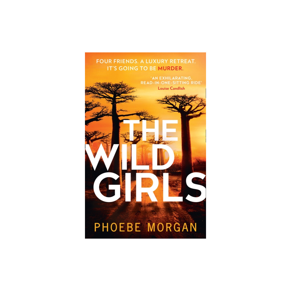 Produktbild för The Wild Girls (häftad, eng)