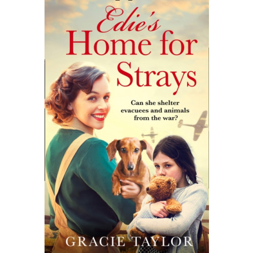 HarperCollins Publishers Edie’s Home for Strays (häftad, eng)